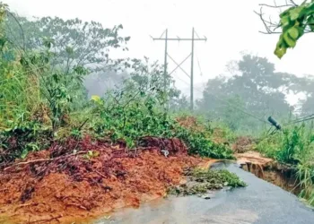 Fuerzas federales realizan mega operativo en el sur de Veracruz; detienen a seis