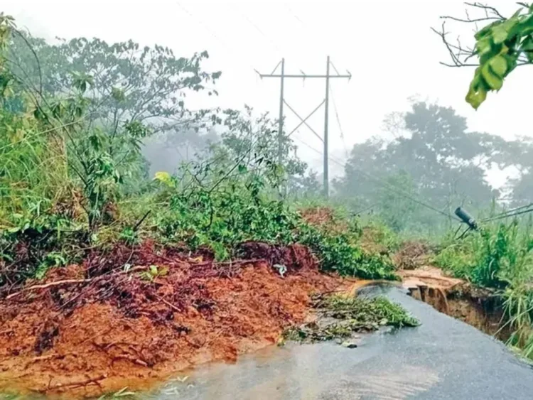 Fuerzas federales realizan mega operativo en el sur de Veracruz; detienen a seis
