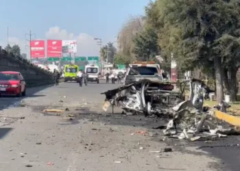 Operativo Perrito Peregrino 2025: lealtad que no merece abandono