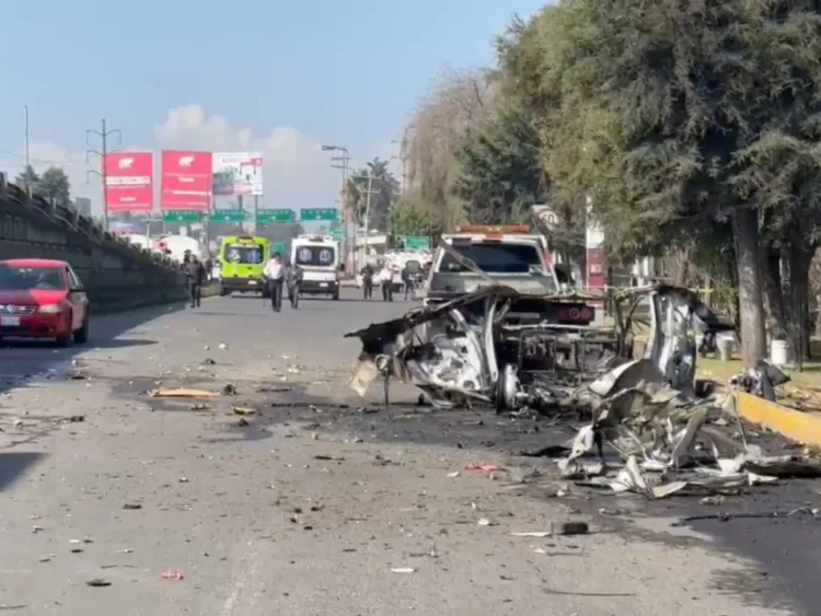 Operativo Perrito Peregrino 2025: lealtad que no merece abandono