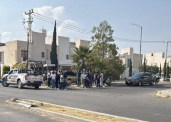 Breves informativas de estados