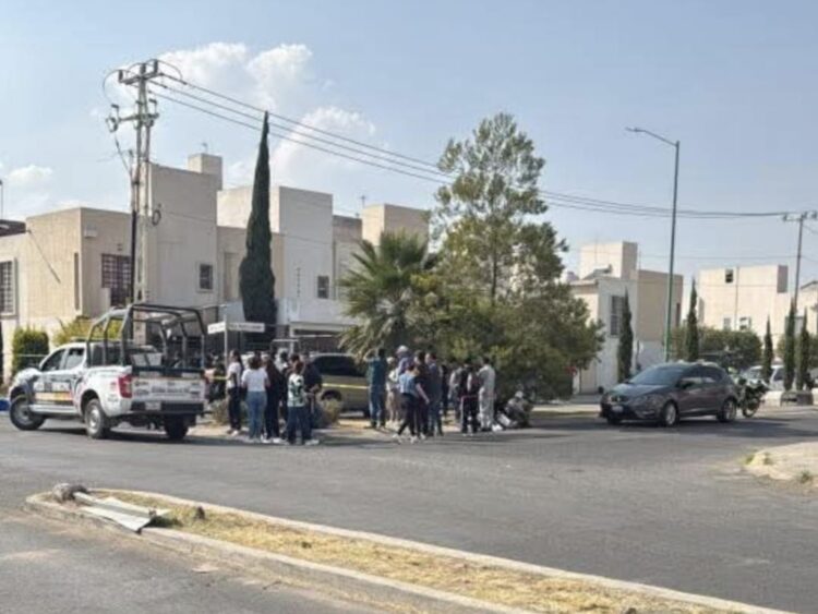 Breves informativas de estados