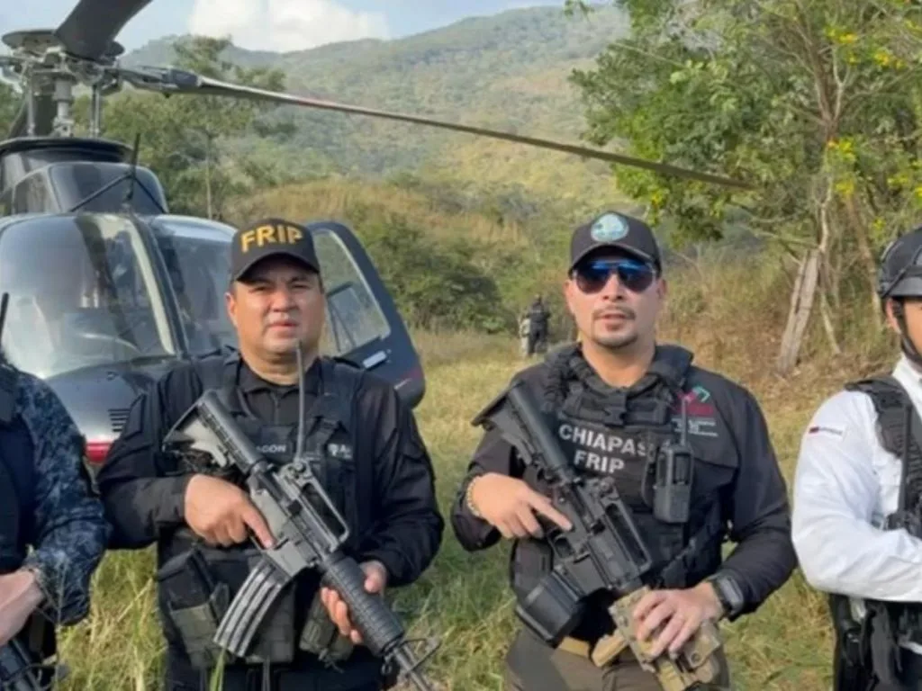 Breves informativas de estados