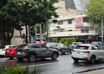 Borrador automático