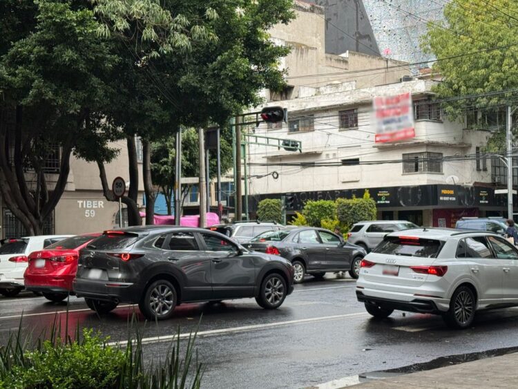 Borrador automático