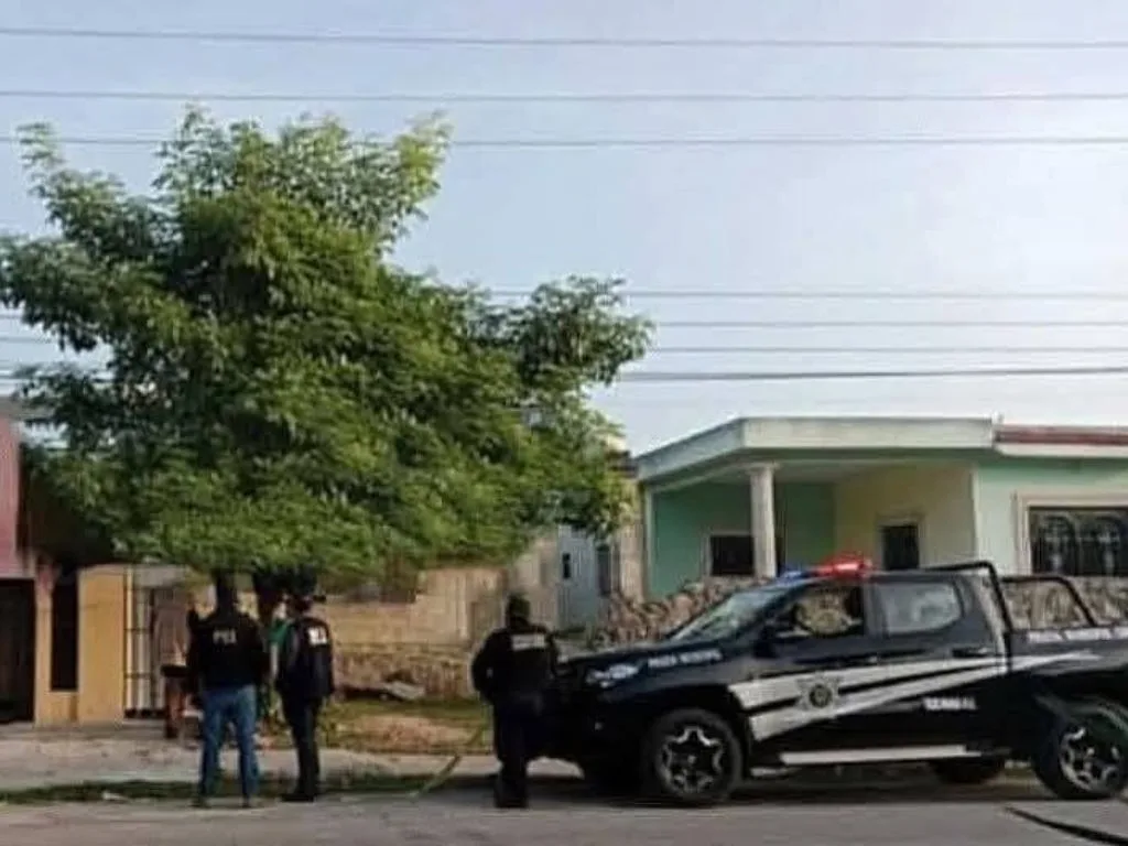 Breves informativas de estados