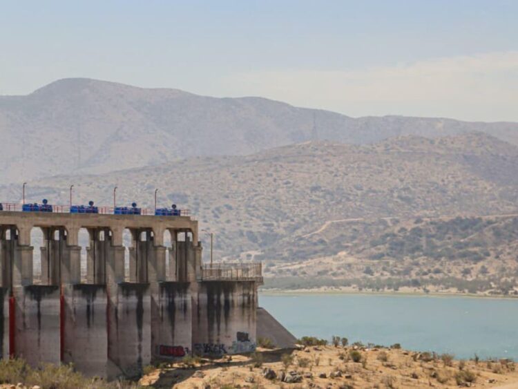 Mortandad de peces en la Presa Abelardo L. Rodríguez