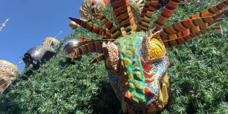 La Navidad en Morelos, fiesta de identidad y tradición