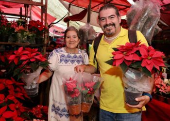 La Navidad no sería la misma sin la flor de Nochebuena y en Michoacán florece con orgullo