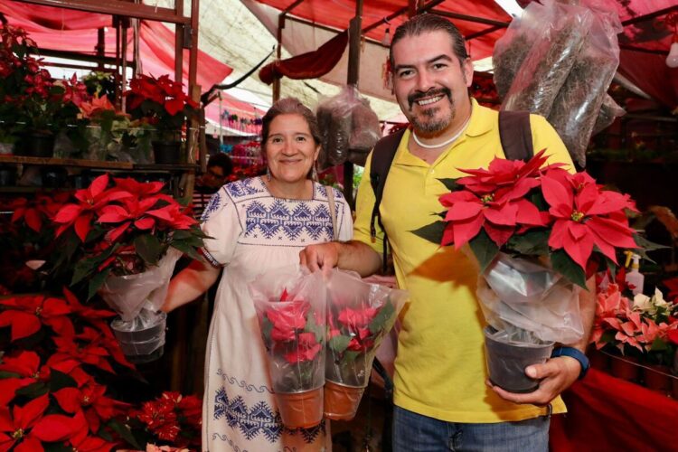La Navidad no sería la misma sin la flor de Nochebuena y en Michoacán florece con orgullo