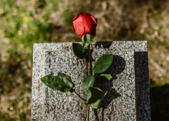 Luto en el Hallyu: las figuras del entretenimiento coreano que fallecieron en 2025. | AMEXI/FOTO: Pexels