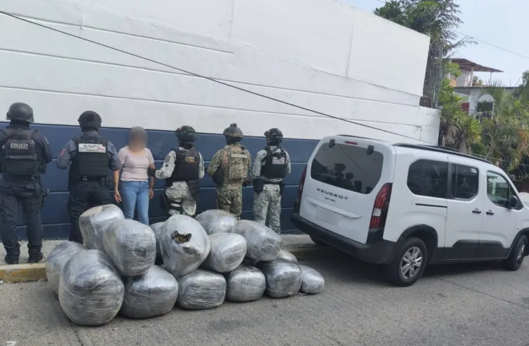 La flor de Nochebuena y la vida se cultivan con alegría y felicidad