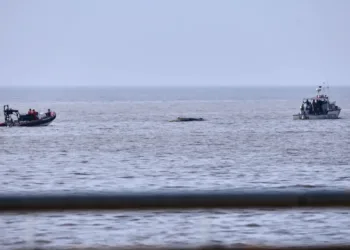 Muere turista extranjera en choque contra una ballena en Puerto Vallarta