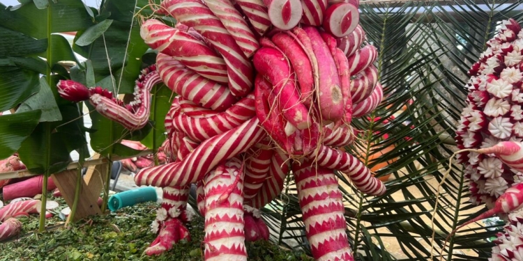 Oaxaca maravilla a turistas con 128 edición de la tradicional Noche de Rábanos