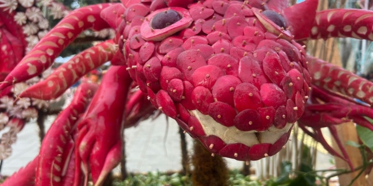 Oaxaca maravilla a turistas con 128 edición de la tradicional Noche de Rábanos