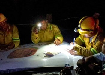 El cambio climático acelera las plagas e incrementa los incendios forestales. AMEXI