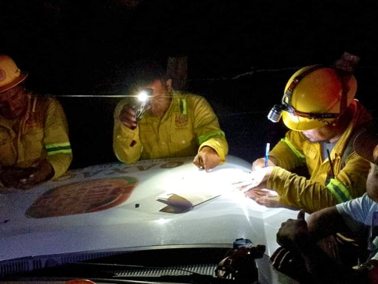 El cambio climático acelera las plagas e incrementa los incendios forestales. AMEXI