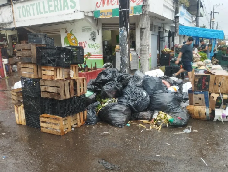 Por pleito entre alcaldesa y dirigente de Limpia, la ciudad de Veracruz es un basurero