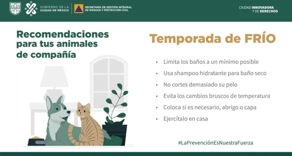 Protege a tus mascotas durante la temporada invernal