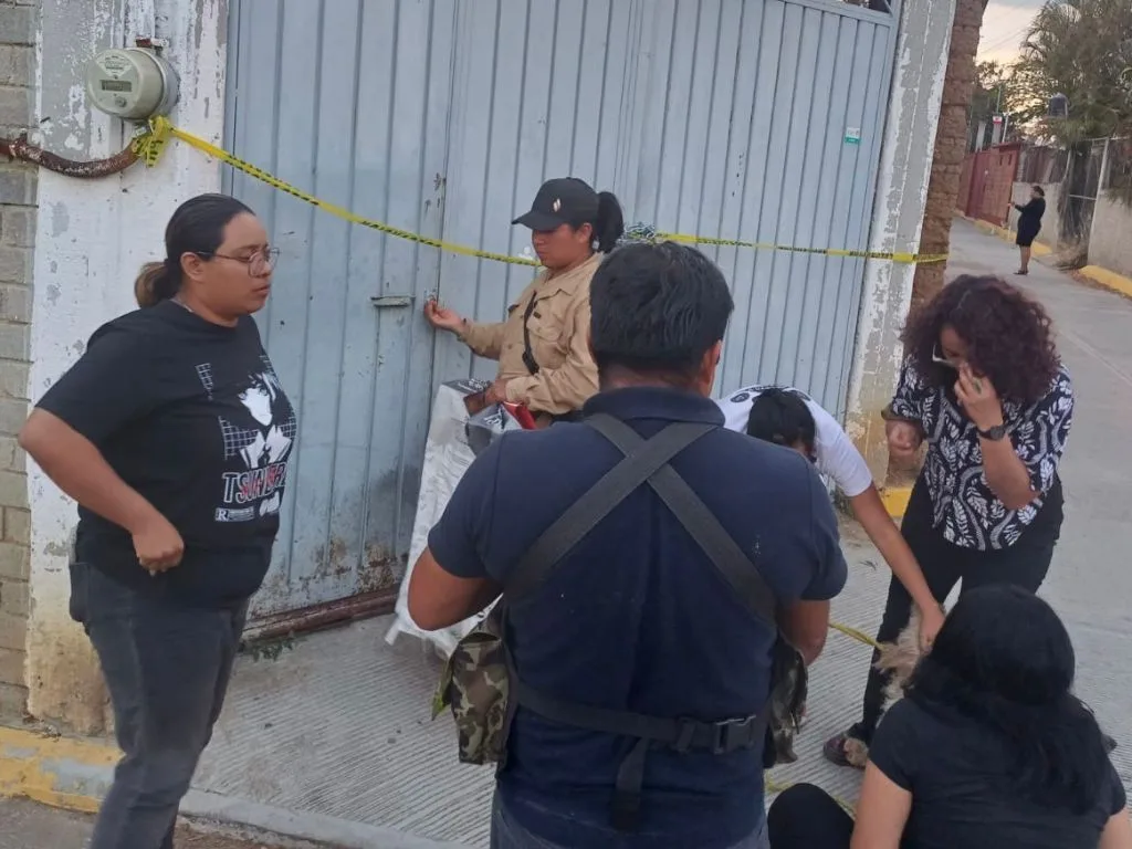 Rescatan a 65 perros