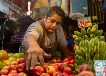 Casi 1 de cada dos personas en América Latina se mantienen en la informalidad laboral, señala la OIT en su informe sobre panorama laboral en América Latina y el Caribe 2025