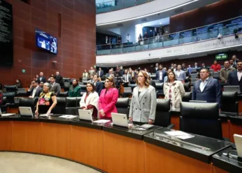 Senado redefine el delito de abuso sexual en el Código Penal Federal