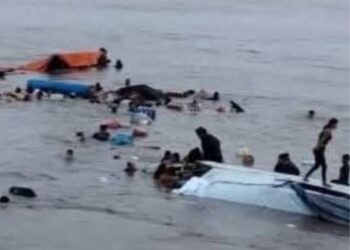 Borrador automático