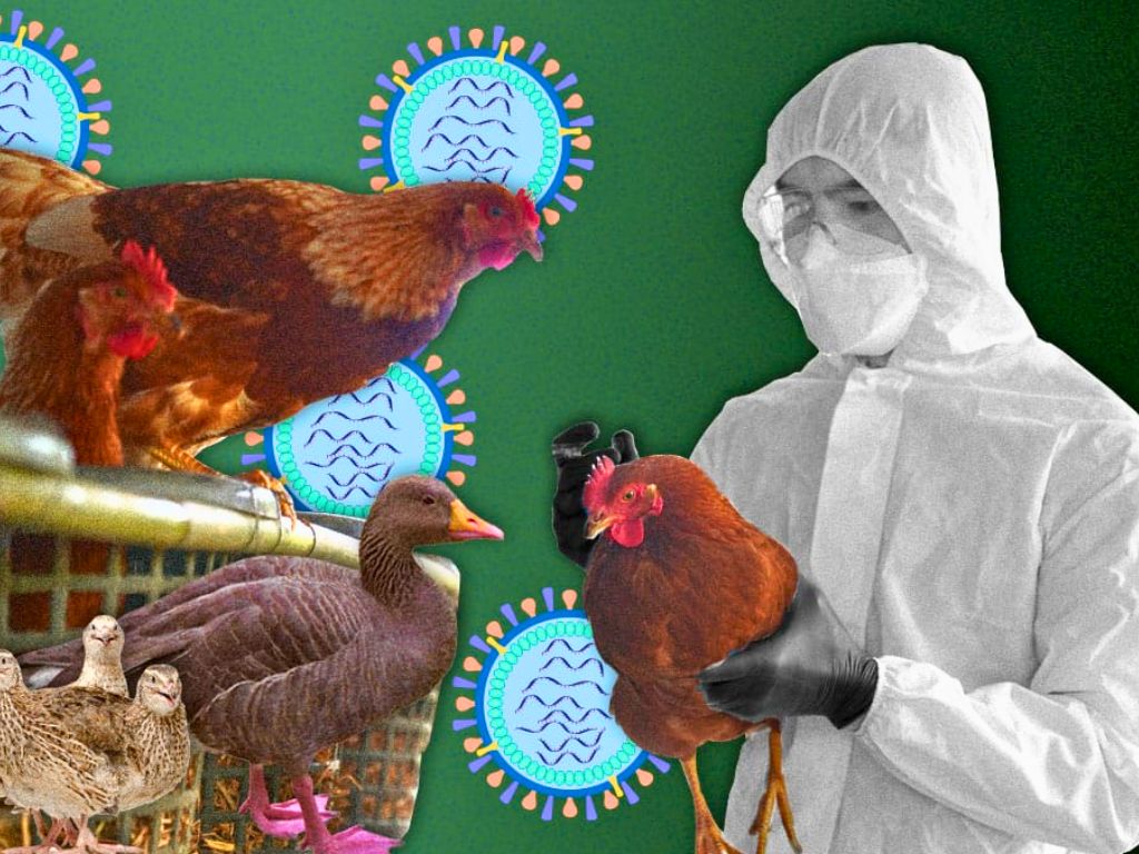 Diferentes virus amenazan el inicio del Año Nuevo. /AMEXI /Imagen: UNAM