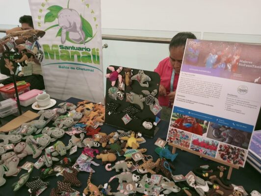 Demandan frenar sobreexplotación pesquera en Mérida