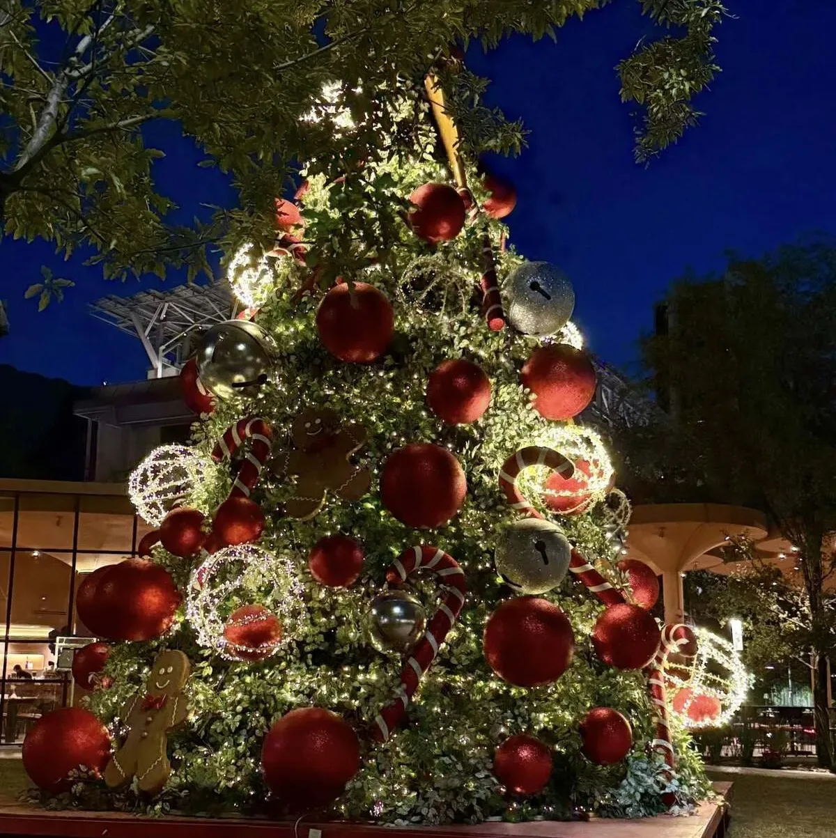Ya falta menos para Navidad, y tú ¿ya pusiste tu árbol?