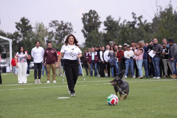 Rehabilitarán en la Ciudad de México canchas de fútbol