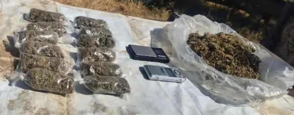 Operativo de cateo en Oaxaca