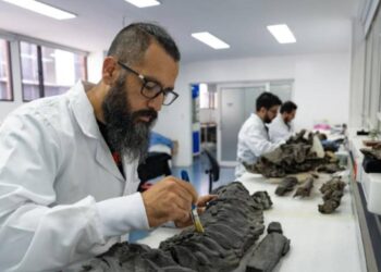 Reptiles ancestrales emergen de las rocas colombianas