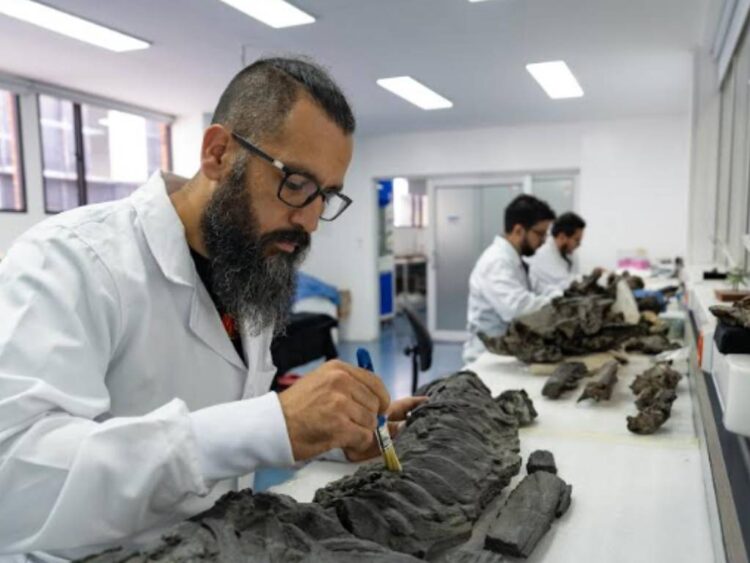 Reptiles ancestrales emergen de las rocas colombianas