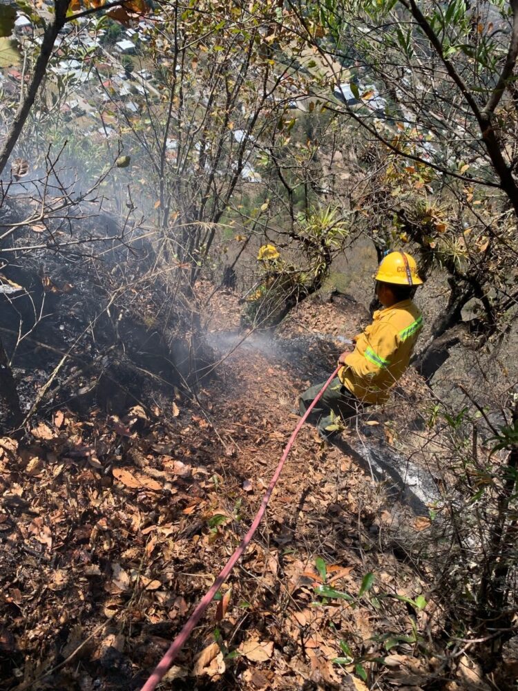 Controlan incendio forestal en Oaxaca