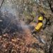 Controlan incendio forestal en Oaxaca