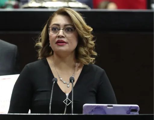 diputada del PT, Ana Karina Rojo Pimentel 