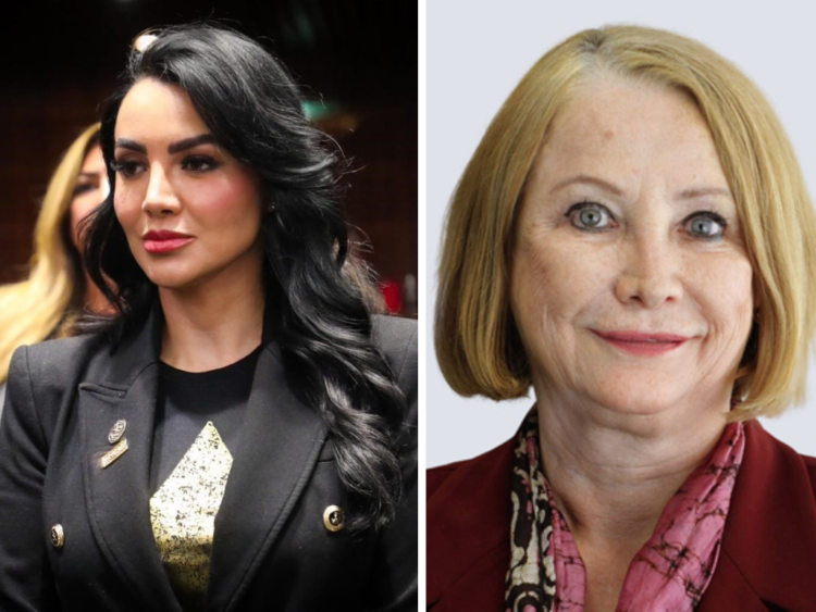 Lamentan diputada, Gabriela Jiménez, la senadora Laura Itzel Castillo tragedia del Tren Interoceánico