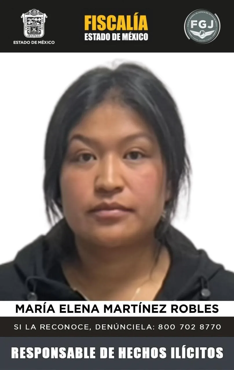 La indagatoria establece que Martínez Robles ordenó directamente a integrantes de la Familia Michoacana la ejecución del síndico