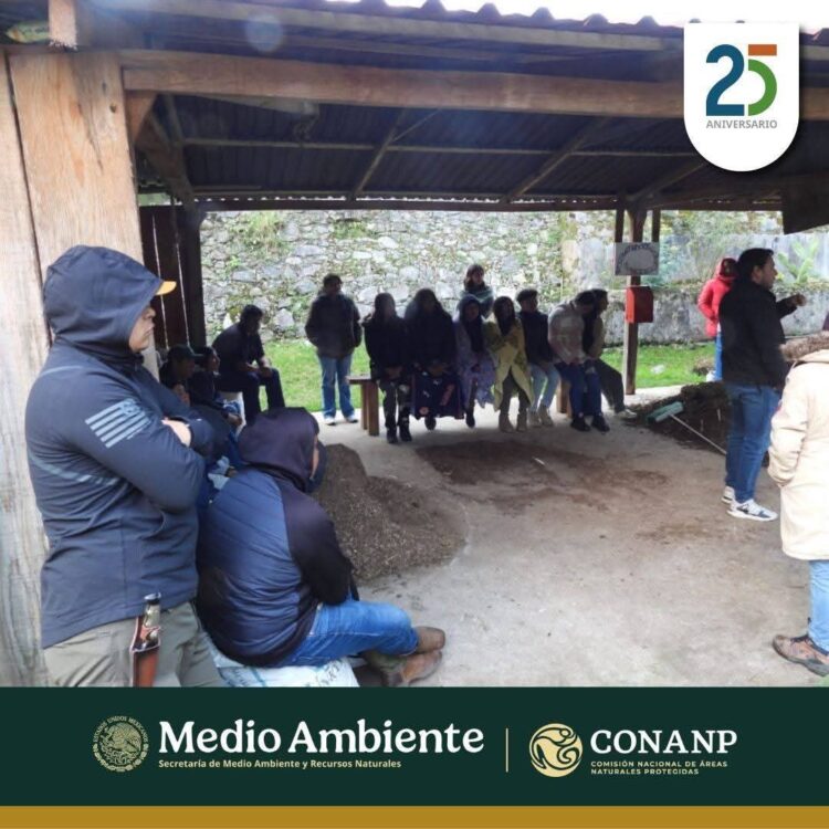 En el estado de Hidalgo autoridades ambientales coordinan diversas acciones con el fin de hacer el rescate de fauna en peligro de extinción.