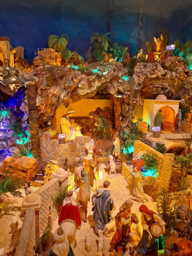 Nacimiento más grande del sureste mexicano, en Mérida