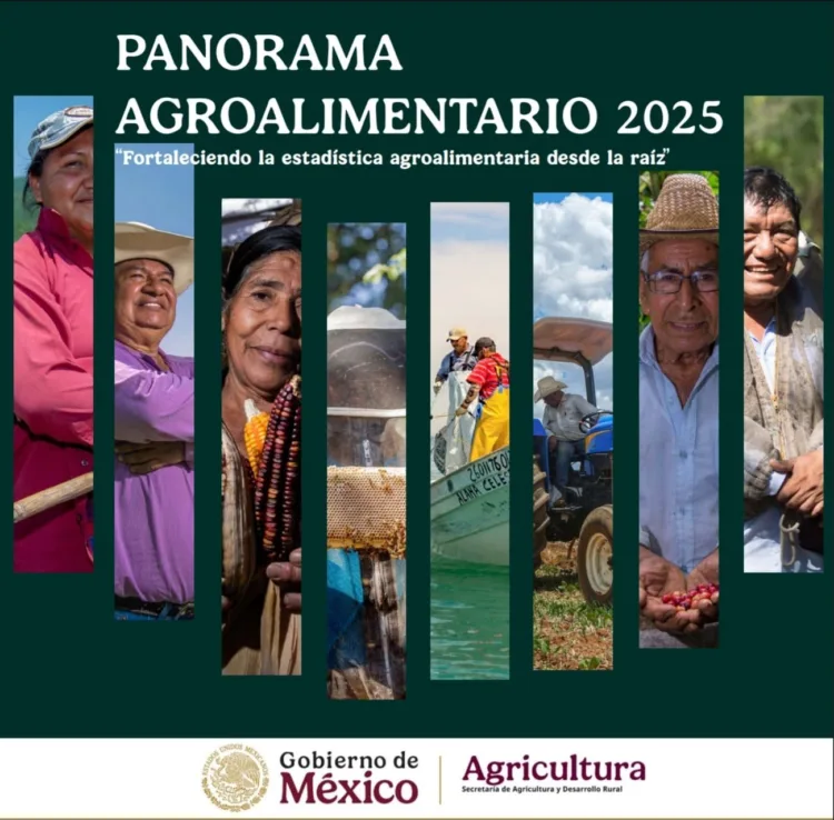México se consolidará como de los principales productores de alimentos en el mundo: SADER