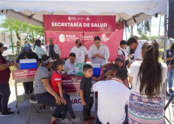 Breves de los Estados