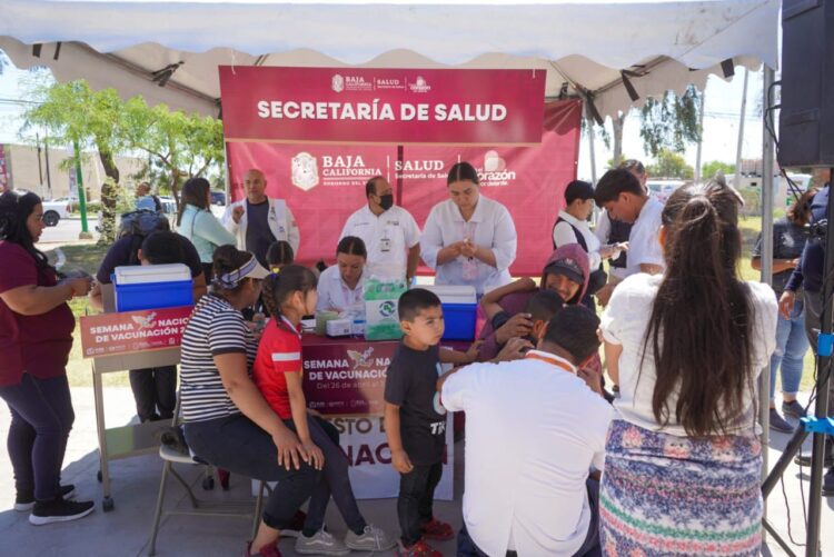 Breves de los Estados