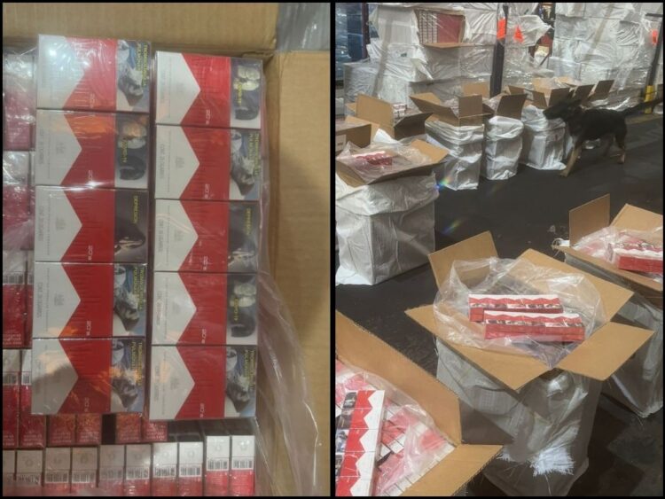 Armada de México asesta golpe al contrabando de cigarros