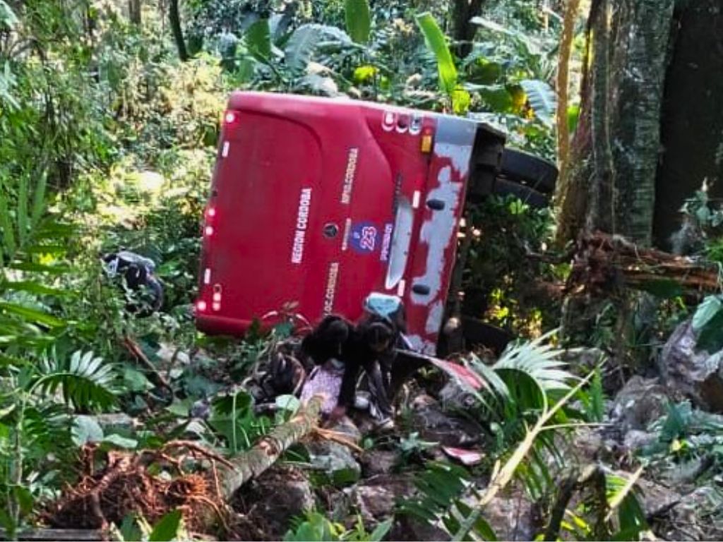 Breves de los Estados. En Veracruz Vuelca autobús y cae a un barranco. 