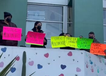 Breves de los Estados (12 de enero)