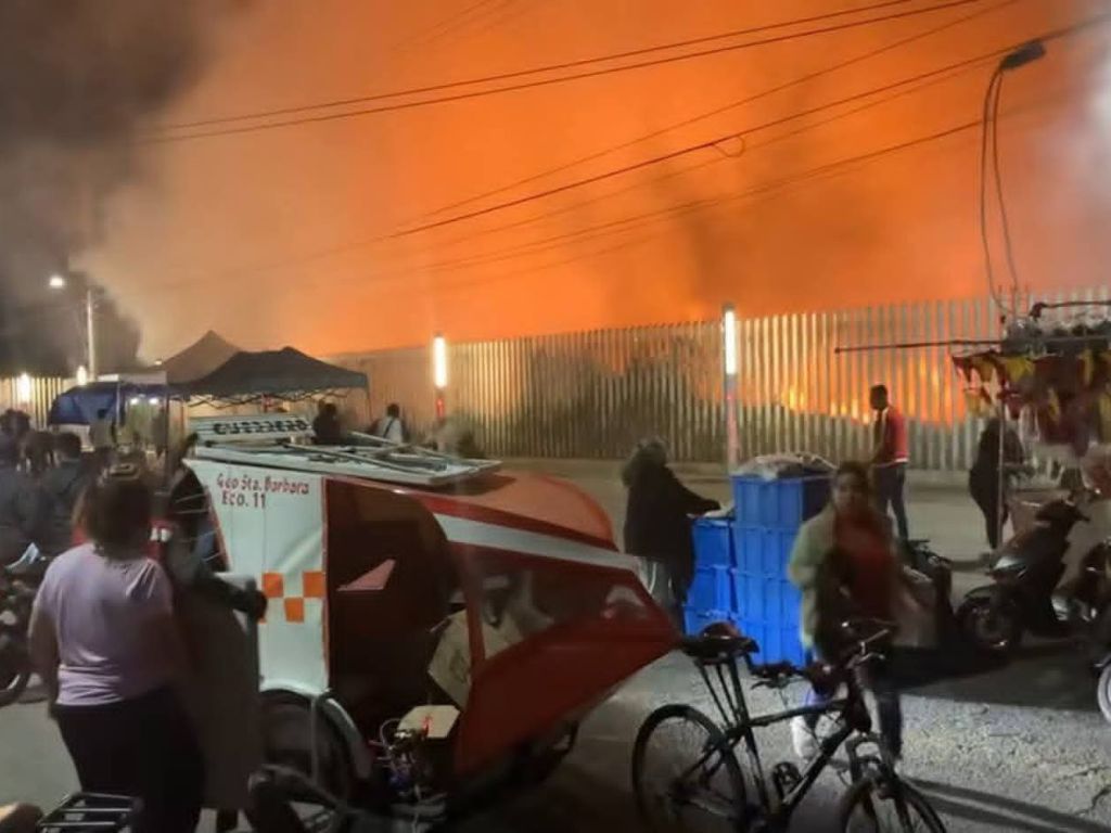 Breves de los estados