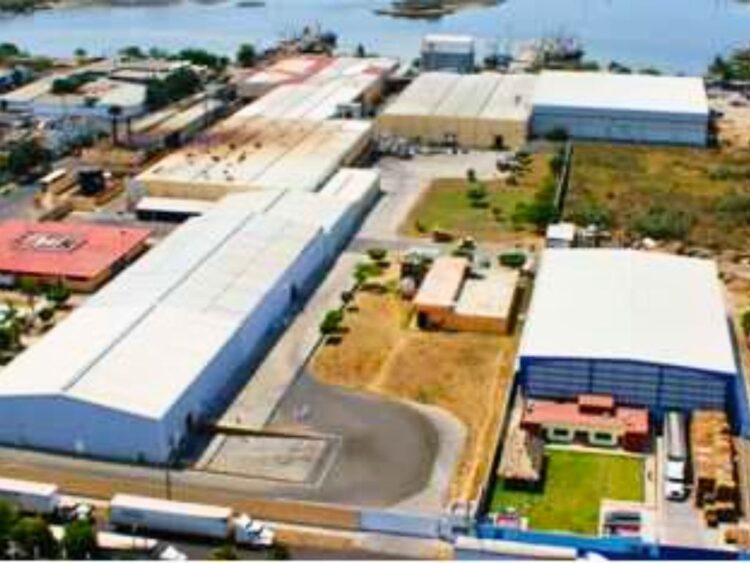 Burocracia y otros obstáculos frenan inversiones en el sureste mexicano.