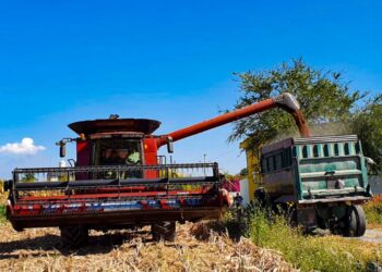 Morelos creará un banco rural para fortalecer su campo